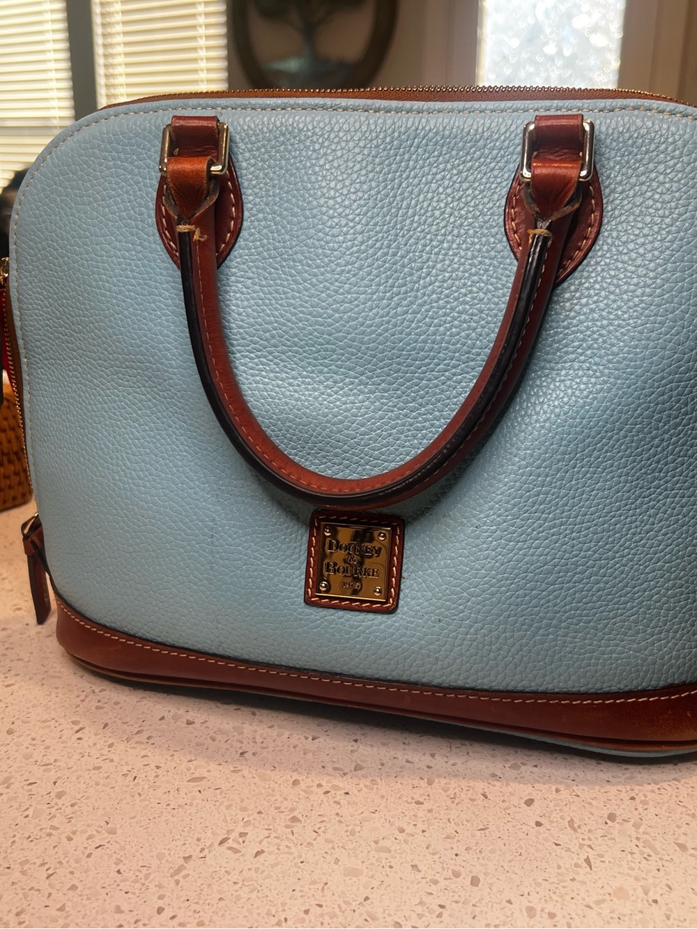 Dooney & Bourke Light Blue Pebbled Leather Satchel with Brown Trim